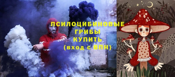 молекула духа Переславль-Залесский