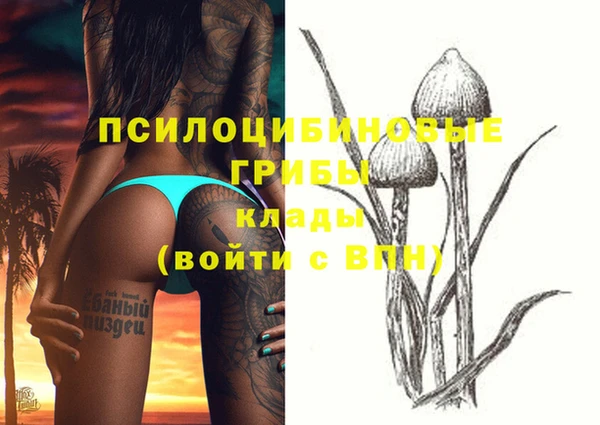 mdpv Пересвет