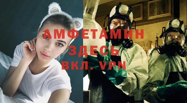 молекула духа Переславль-Залесский