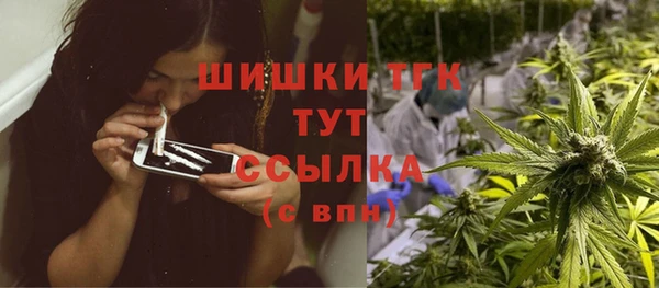 скорость Пестово