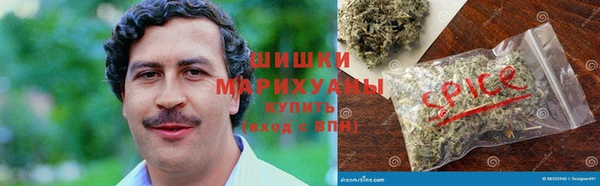 молекула духа Переславль-Залесский