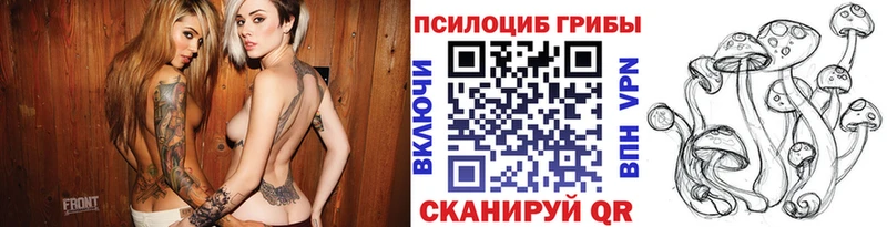 Псилоцибиновые грибы прущие грибы  Кунгур 