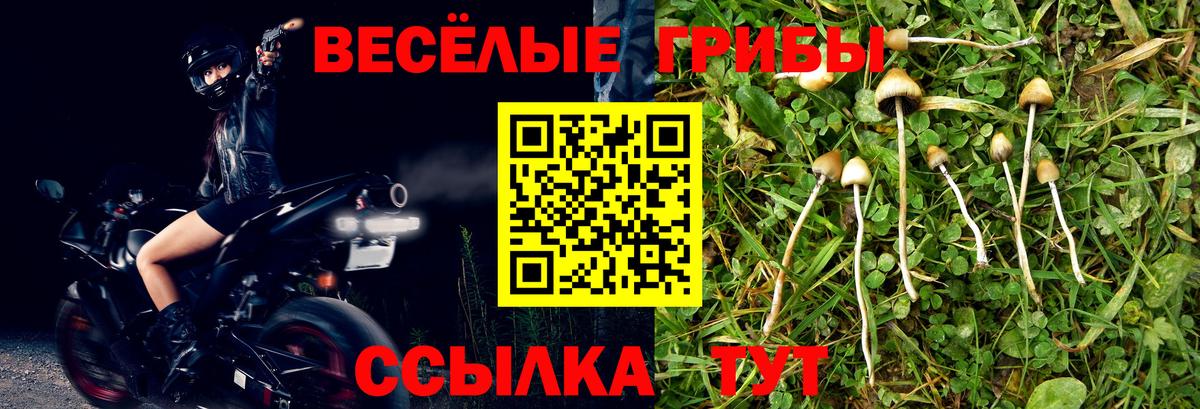 Псилоцибиновые грибы Magic Shrooms Кунгур