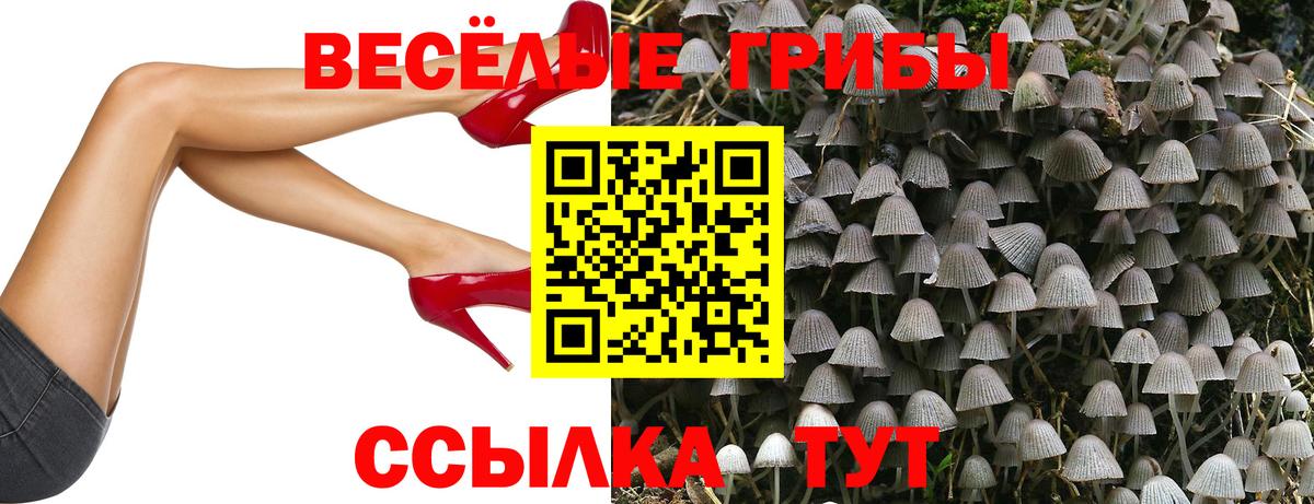 Псилоцибиновые грибы мухоморы Кунгур